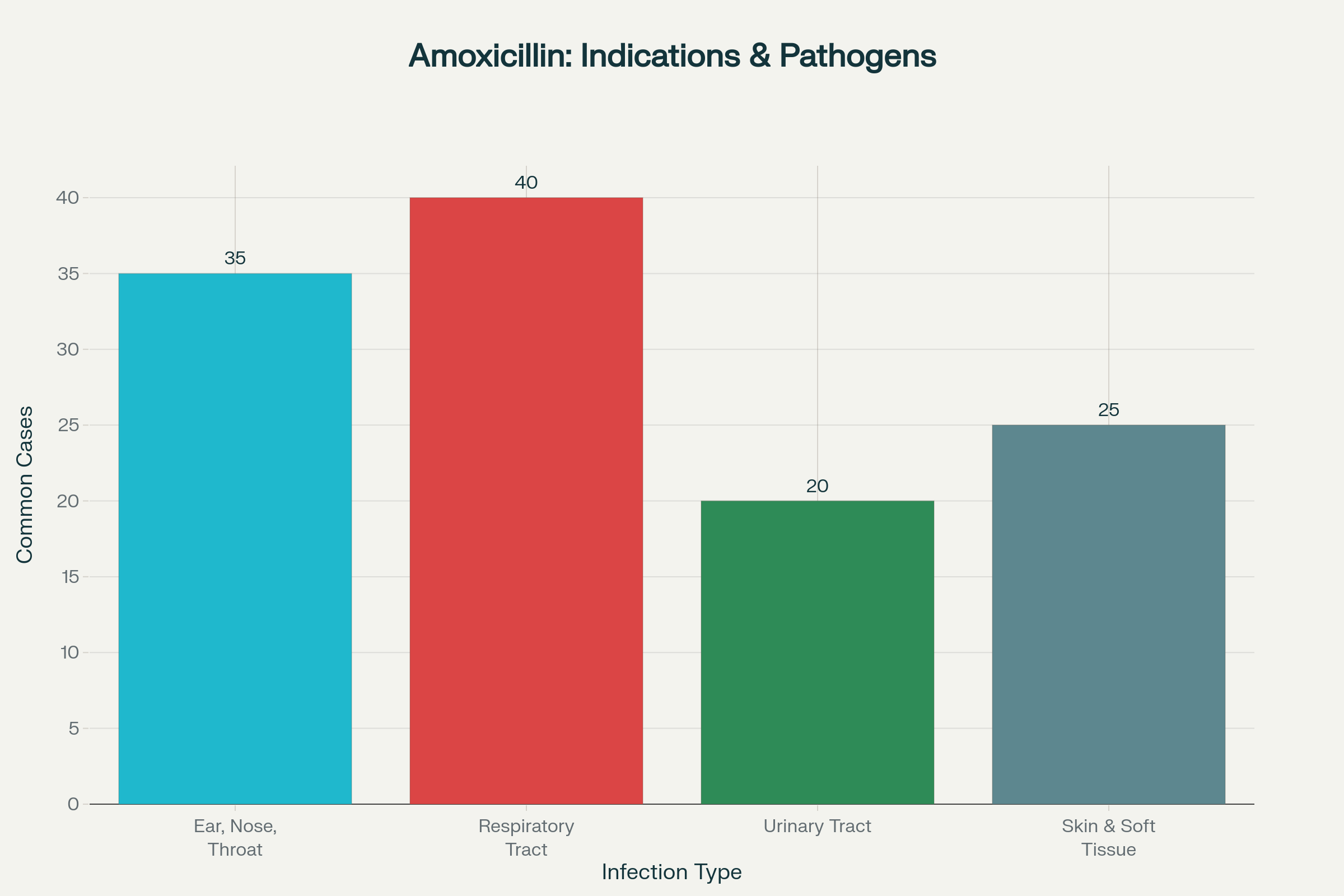 아목시실린 효과